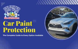 Car Paint Protection