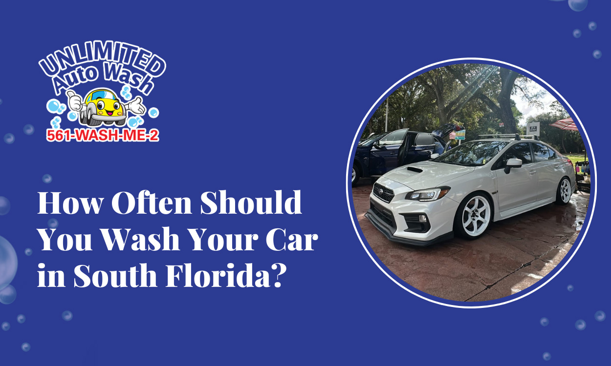 How Often Should You Wash Your Car in South Florida