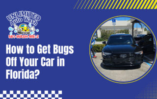 How to Get Bugs Off Your Car in Florida