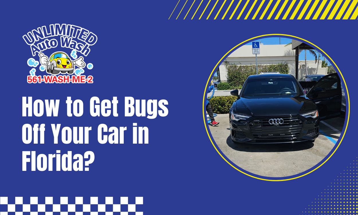 How to Get Bugs Off Your Car in Florida