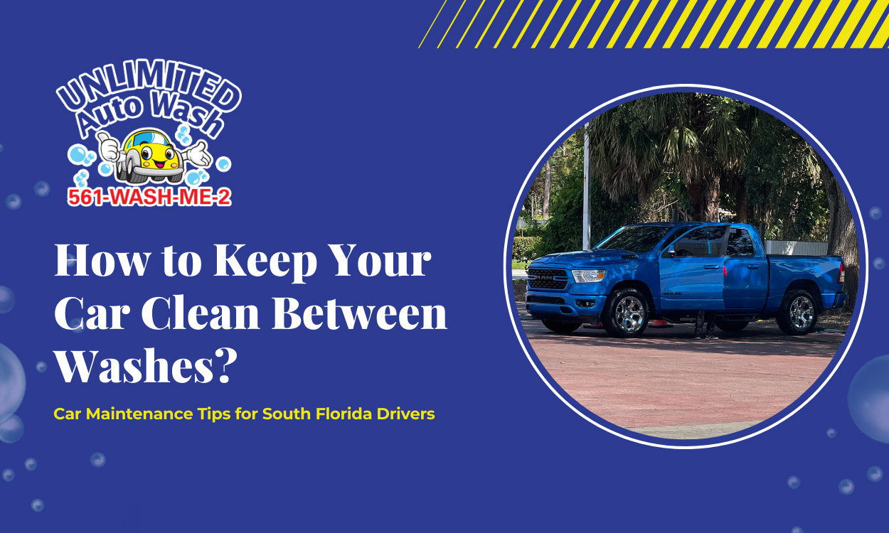How to Keep Your Car Clean Between Washes
