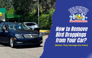 How to Remove Bird Droppings from Your Car