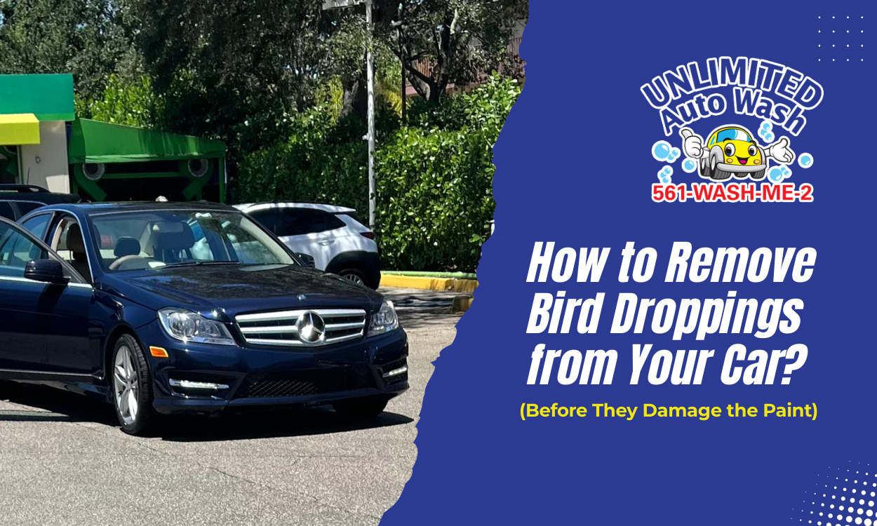 How to Remove Bird Droppings from Your Car