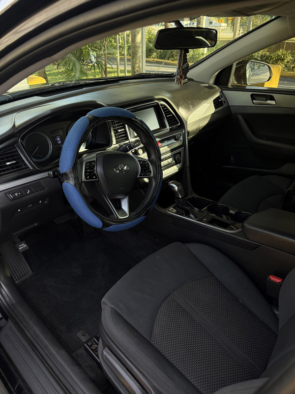 Interior Protection