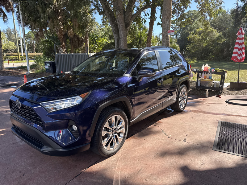 Love Bug Season in Florida-The Twice-Annual Paint Threat