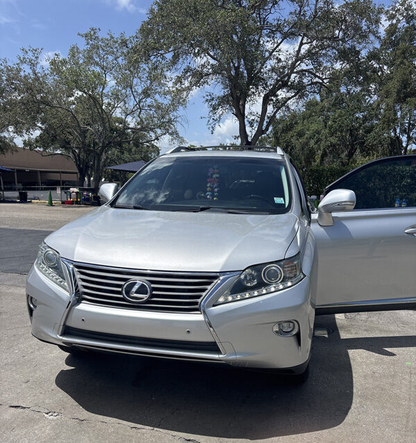 Why Bird Droppings Damage Car Paint